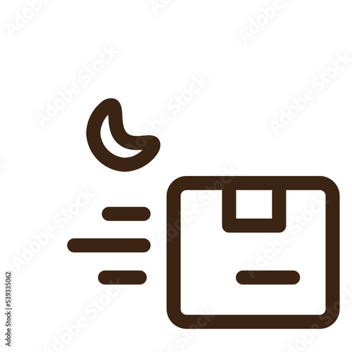 delivery express fast overnight parcel service icon