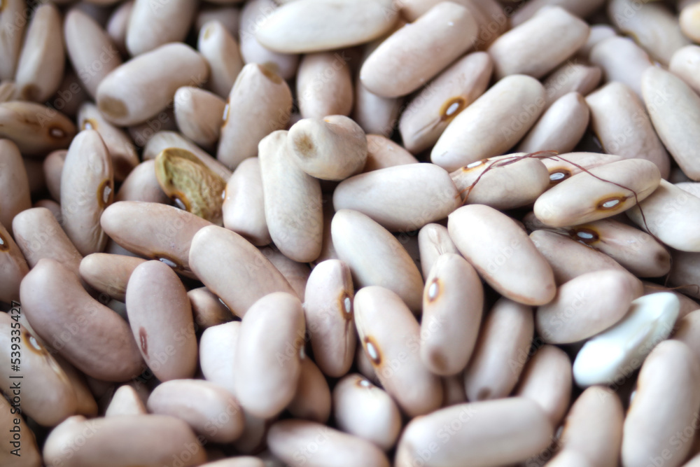 Defocus white beans background. Background of many grains of dried beans. Brown beans texture. Food background. Brazilian diet snack food. Red kidney bean. Out of focus