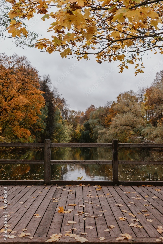 Brown Wooden Bridge over River Surrounded by Trees Brown Wooden Bridge over River Surrounded by Trees