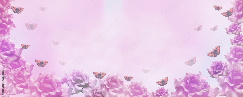 Dreamy purple pink gradient background with roses flowers and butterfly merging in a pastel colored flower composition. Floral border frame and copy space. Template wide banner