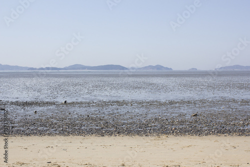It is a beach with tidal flats and sandy beaches.