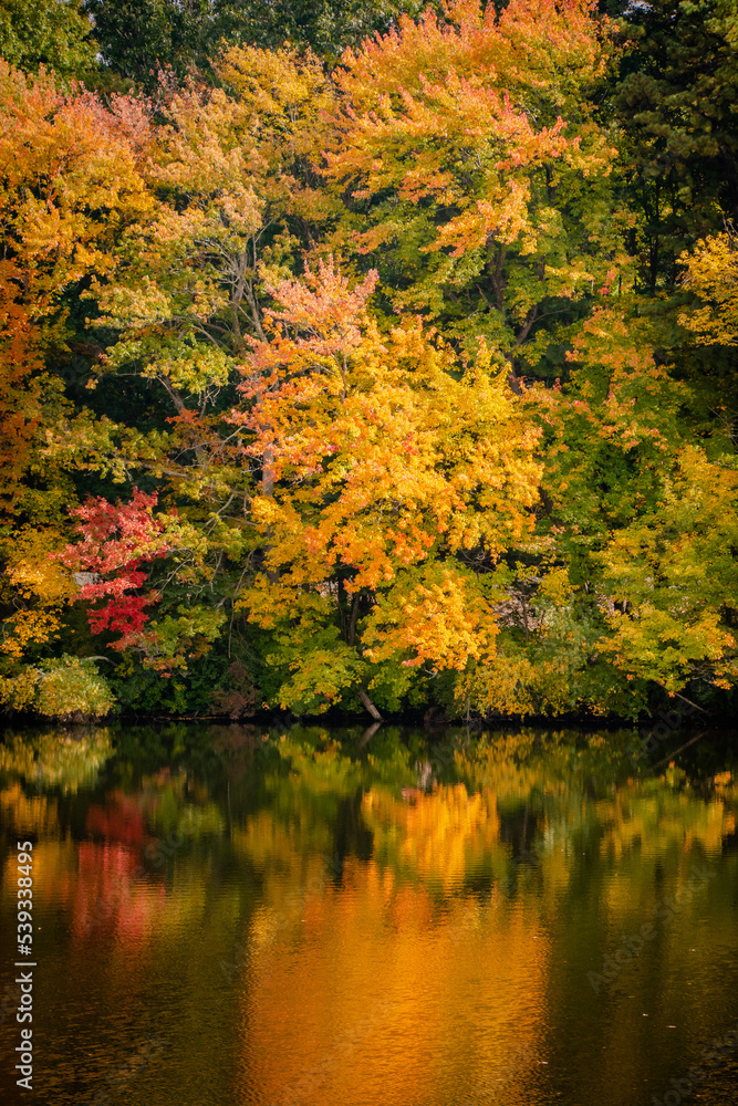 Autumn in New England Autumn in New England