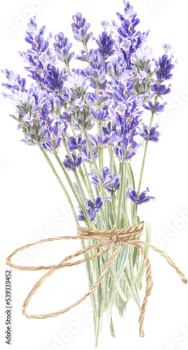 Watercolor lavender bouquet  Provence flowers