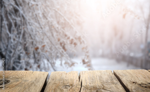Blank table in winter park ...