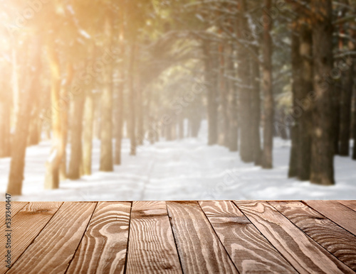Blank table in winter fores...