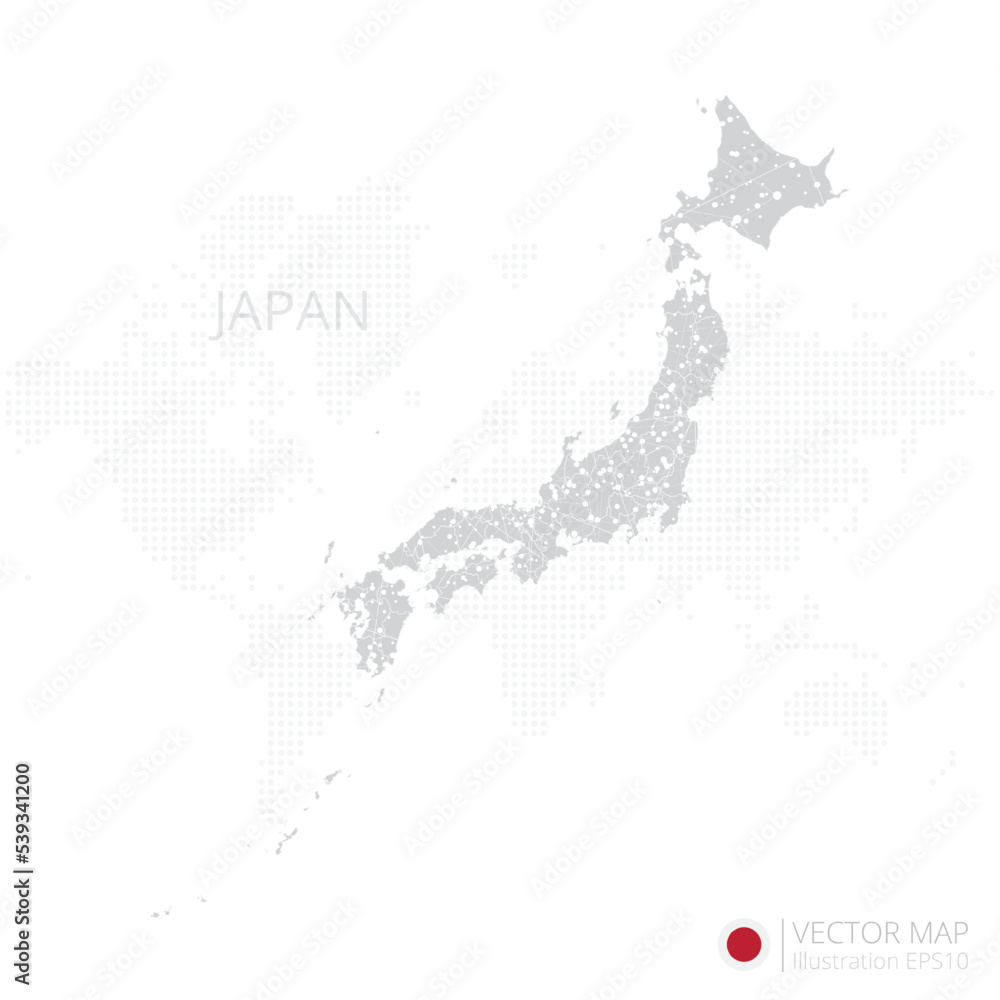Japan grey map isolated on white background with abstract mesh line and point scales. Vector illustration eps 10
