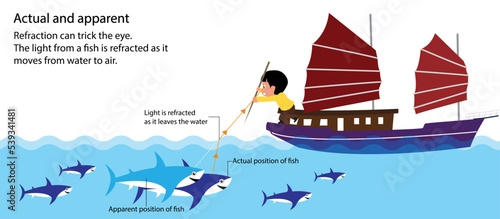 illustration of physics, Actual and apparent, fish appears to be at a shallow depth but it is a lot deeper in actuality, the bending of light as it passes from one transparent substance into another