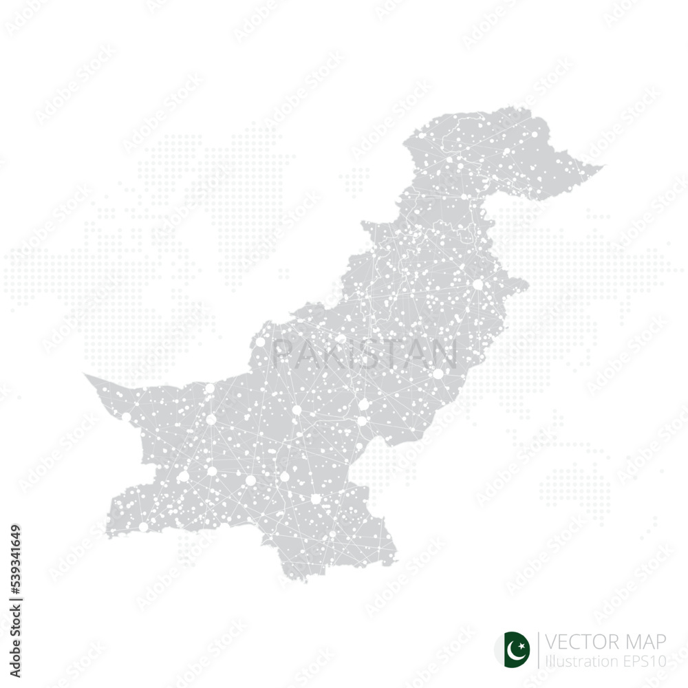 Pakistan grey map isolated on white background with abstract mesh line and point scales. Vector illustration eps 10