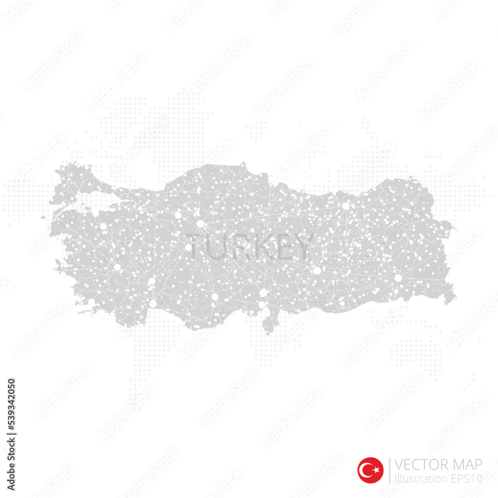 Turkey grey map isolated on white background with abstract mesh line and point scales. Vector illustration eps 10