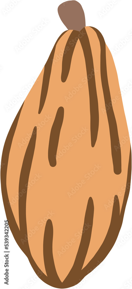 cacao fruit doodle drawing cacao fruit doodle drawing