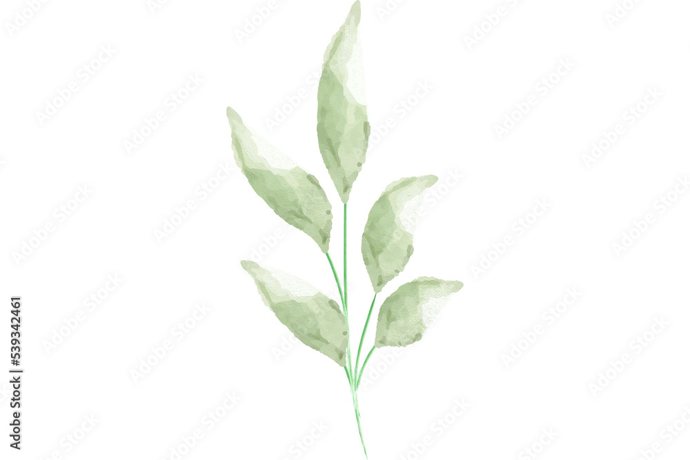 Fototapeta premium Watercolor Green Leaf For Wedding Decoration