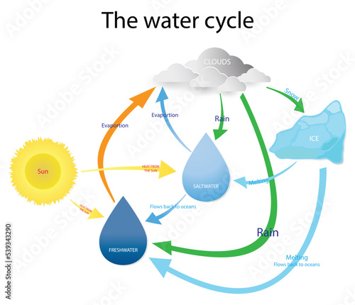 illustration of biology and ecology, water cycle describes how water evaporates from the surface of the earth, rises into the atmosphere, hydrological cycle is a biogeochemical cycle