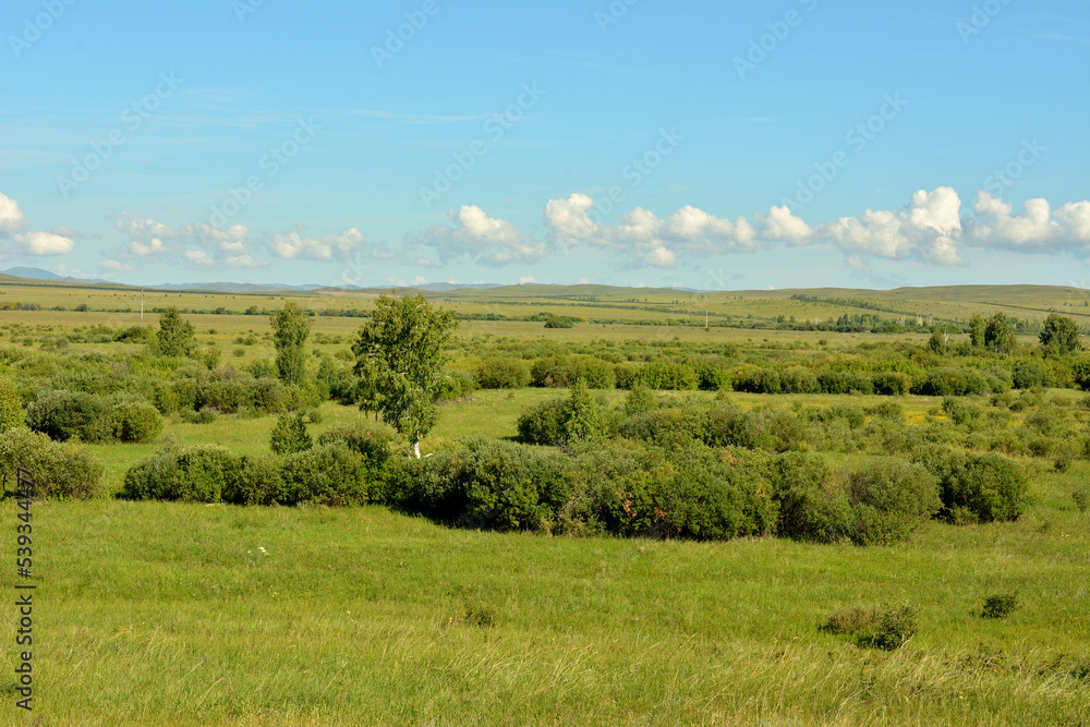 Endless flat steppe with sparse thickets of bushes surrounded by hills under a summer cloudy sky.