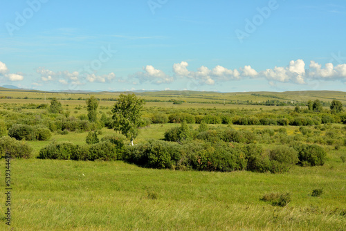 Endless flat steppe with sparse thickets of bushes surrounded by hills under a summer cloudy sky. © Алексей Желтухин