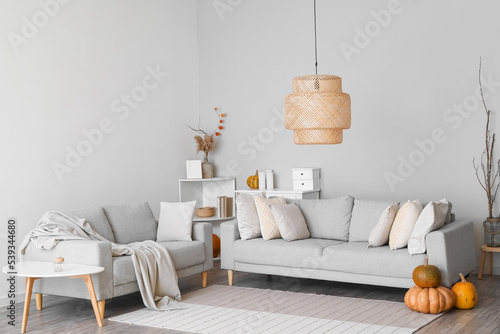 Interior of light living room with grey sofas and pumpkins