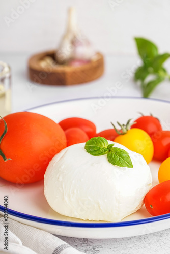 Plate with tasty mozzarella cheese and fresh tomatoes on light background, closeup