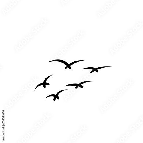 flying bird illustration