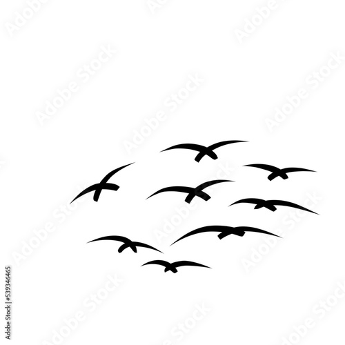 flying bird illustration © Andi