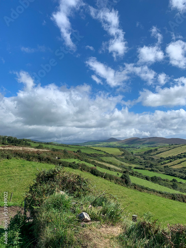 Irish Countryside