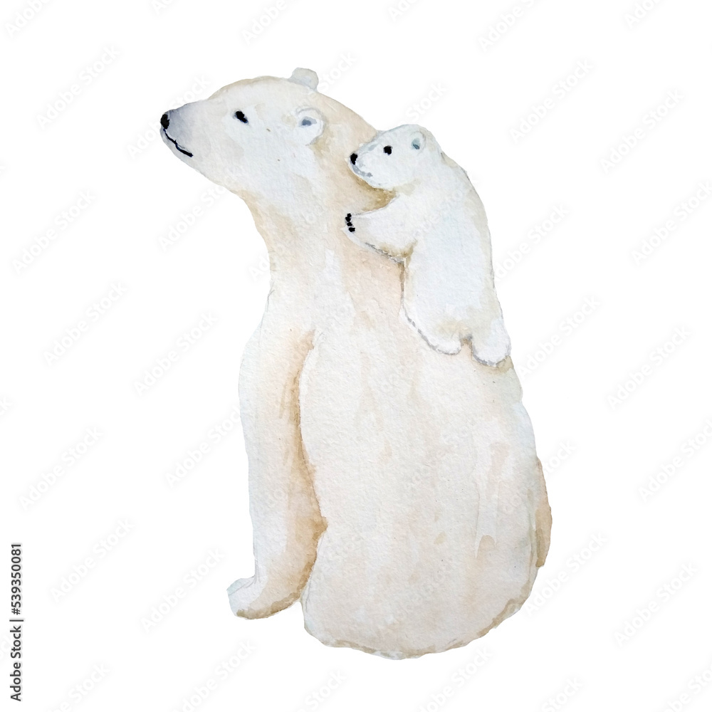 Watercolor hand drawn illustration of polar white bear. Animal mother baby cub kid, nordic north pole endangered species on ice snow landscape, ursus climate protection tundra environment.