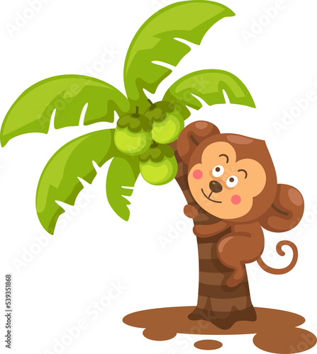 monkey climbing coconut tree