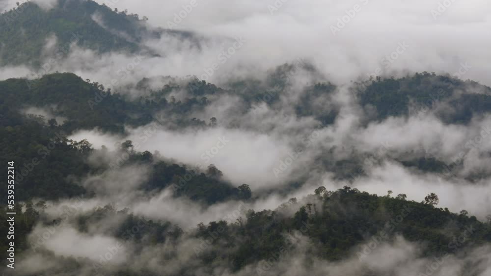 Rainforest clouds timelapse Borneo, dawn jungle landscape. Sarawak, Malaysia Rainforest clouds timelapse Borneo, dawn jungle landscape. Sarawak, Malaysia