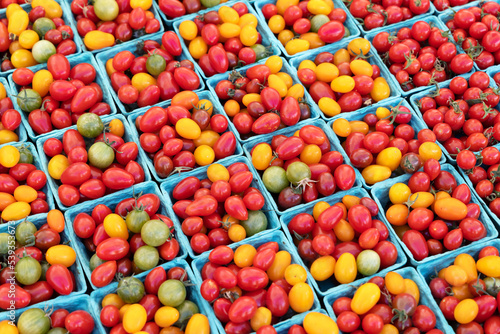 Various tomato cherry in boxes