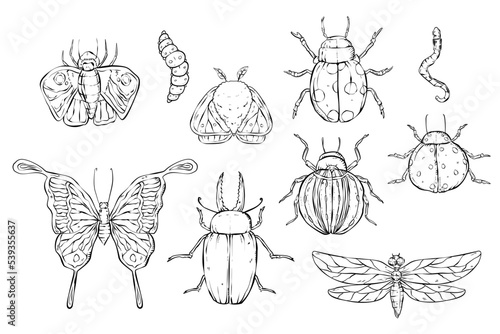 Bug and insect outline for halloween potion