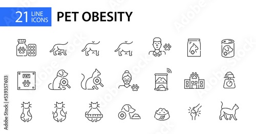 Pet obesity related icons set. Treatment, automatic feeder, medical help and vitamins. Pixel perfect, editable stroke