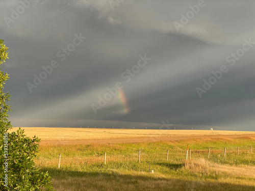 small prairie rainbow