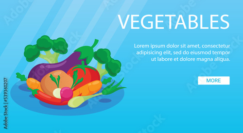 Fototapeta Naklejka Na Ścianę i Meble -  Vegetable banner template vector illustration