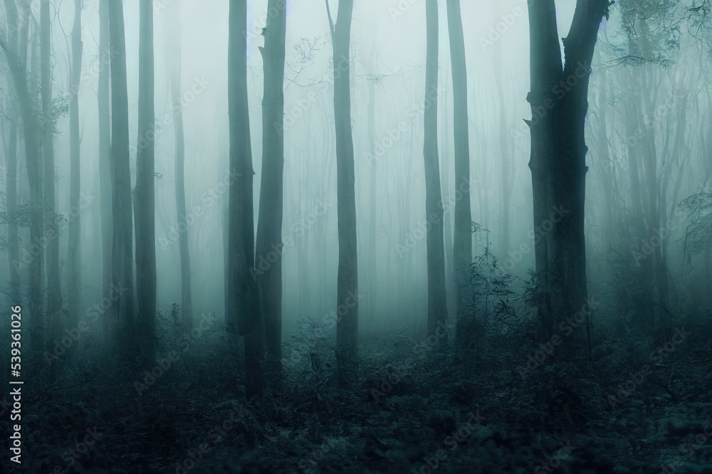 Obraz premium Forest in fog with mist. Fairy spooky looking woods in a misty day. Cold foggy morning in horror forest with trees
