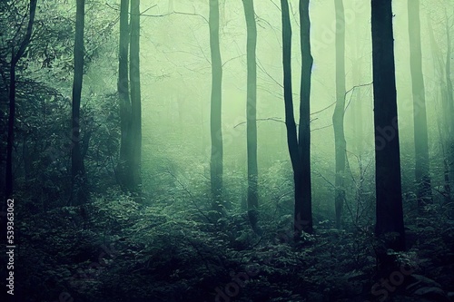 Spooky Dark Forest Canopy Nature Photo Background.