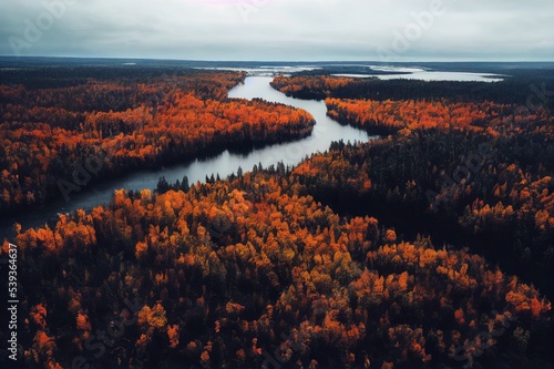 In the autumn, the lakes and rivers in Finland get filled with water from heavy rains. The colours of the forests start to reflect in these dark waters, making the entire landscape look amazing.
