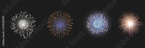 Vector Brightly Colorful Fireworks on the background of the night sky.