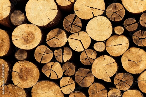 Natural wooden background closeup of chopped firewood. Firewood stacked and prepared for winter Pile of wood logs.