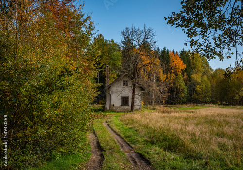 Herbst im Waldviertel