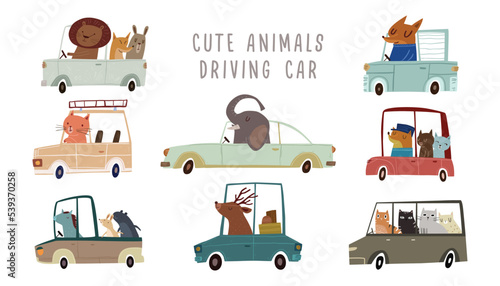 Hand drawn colorful cute animals driving cars, vector for kids