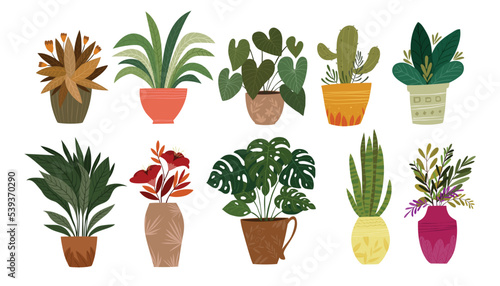 Set of Plants in pot vector illustration, Houseplants for interior home or office decoration