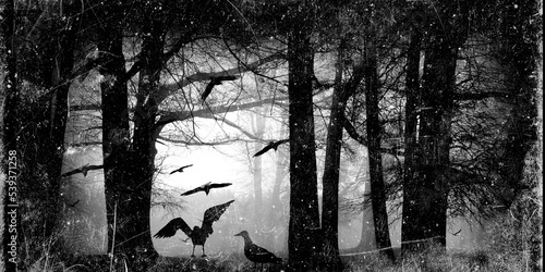 Spooky forest with flying birds  dead trees  cobwebs. Old paper texture. Gothic design. Black and white illustration