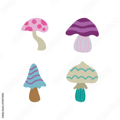 Edible mushrooms. Shiitake, oyster, cremini, white button vector illustration isolated on white background.for design element