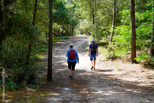 senior couple walking rear behind view path in woodland forest outside park of pine tree