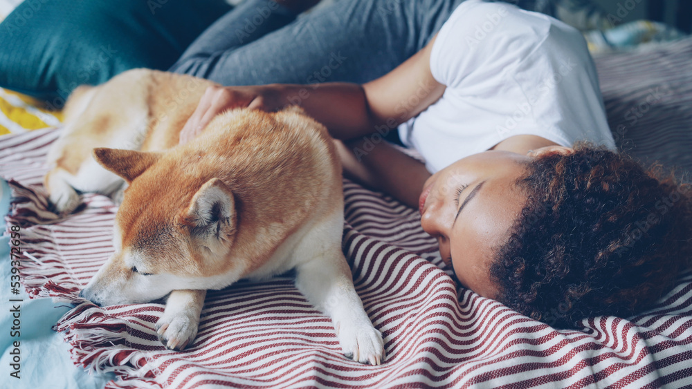 Pretty African American teenage girl and her loyal dog are sleeping together on bed at home, person is hugging animal in sleep. Trust, love and rest concept. Pretty African American teenage girl and her loyal dog are sleeping together on bed at home, person is hugging animal in sleep. Trust, love and rest concept.
