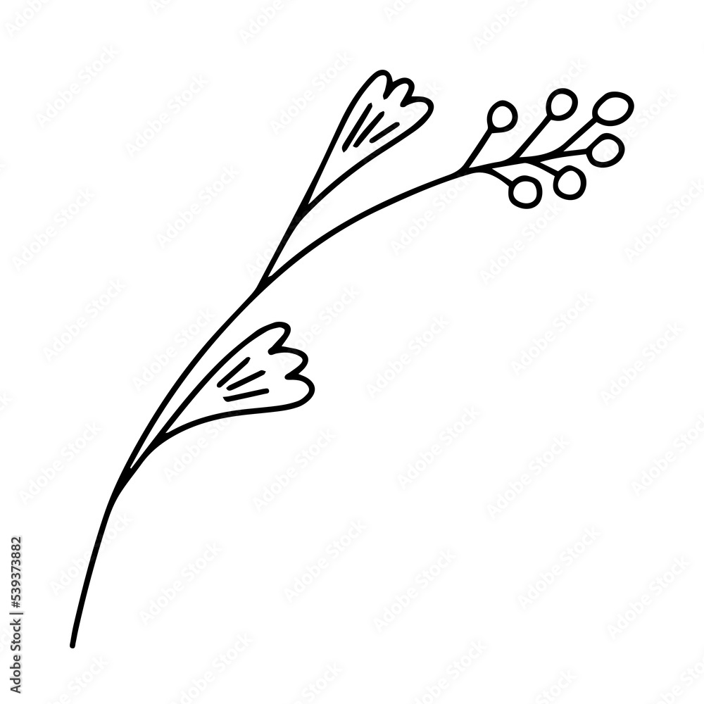 Delicate sketch of a spring flower. Vector illustration in hand drawn style Delicate sketch of a spring flower. Vector illustration in hand drawn style