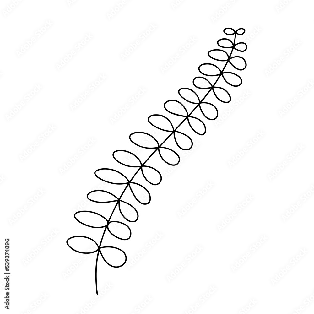 Black and white of a spring flower. Vector illustration in hand drawn style Black and white of a spring flower. Vector illustration in hand drawn style