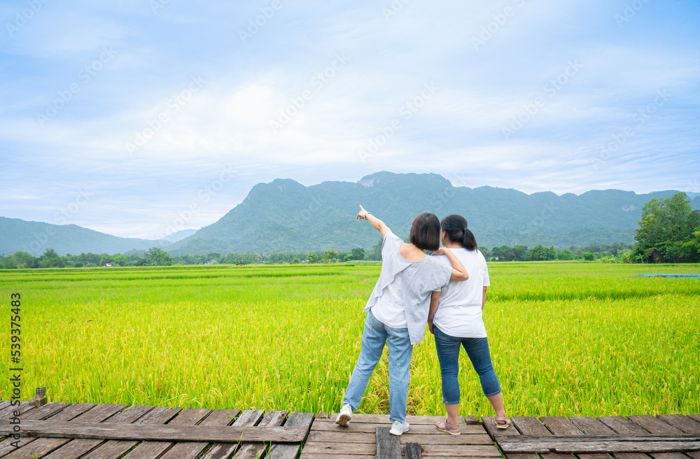 middle aged asian woman Characteristics of tourists in the fields or rice fields that are having golden-yellow rice grains intersect with green rice leaves. in the open field area