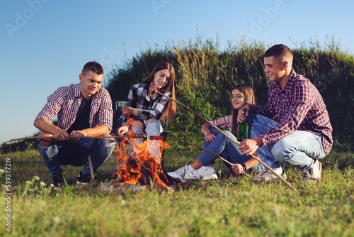 Friends barbecue sausages on camping outdoors © zorandim75