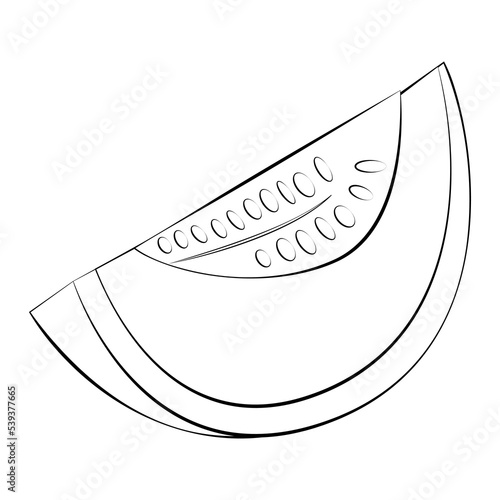 A slice of melon in a thin line. Vector on a white background