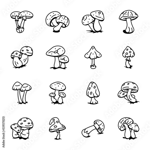 Set of Fungi Hand Drawn Icons 

