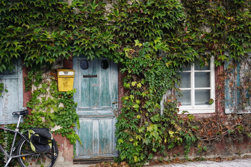 Schöne alte Eingangstür eines altes Hauses mit Briefkasten und Efeu